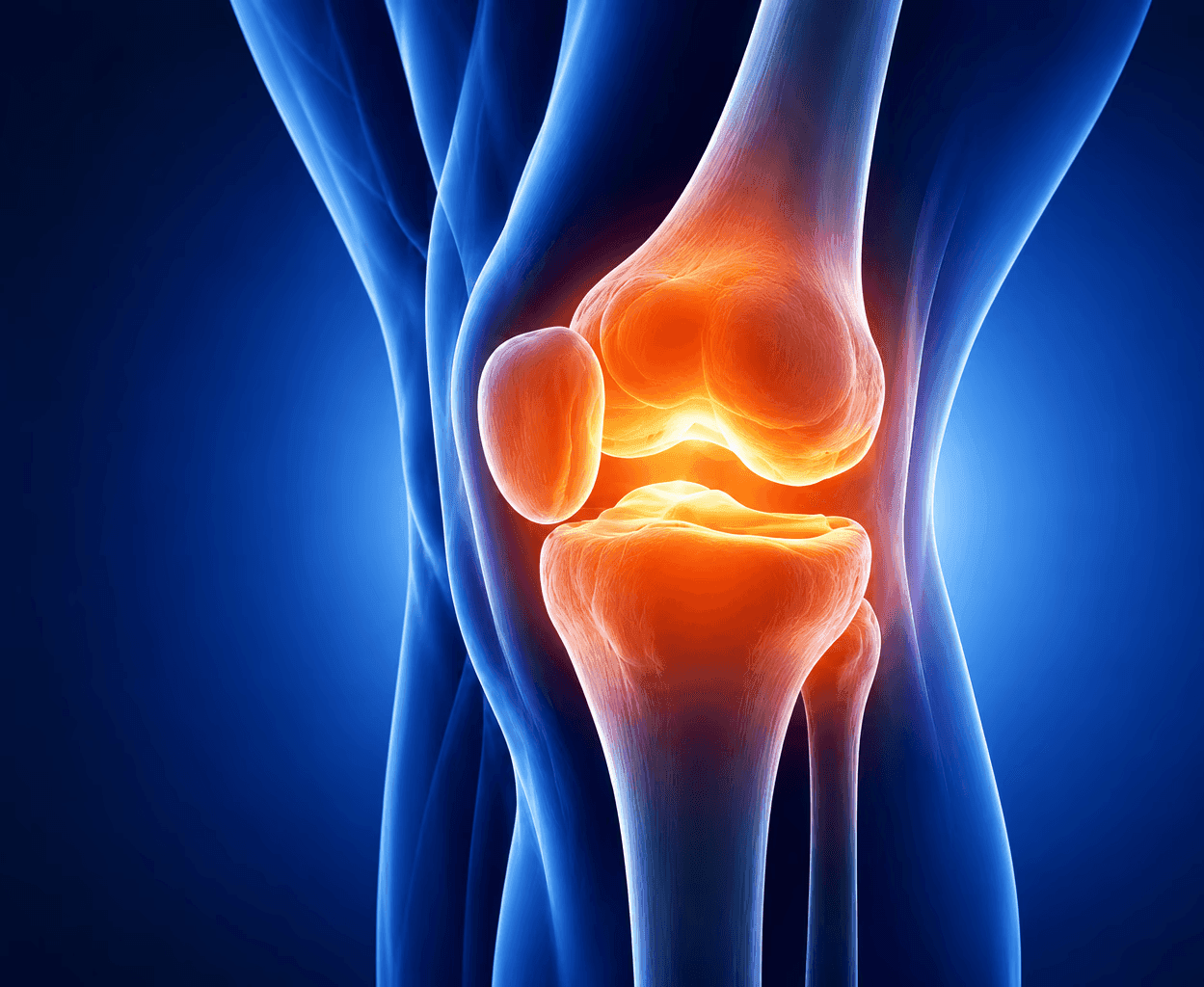 Knee care at Ortho-One, Coimbatore (supporting image 1)